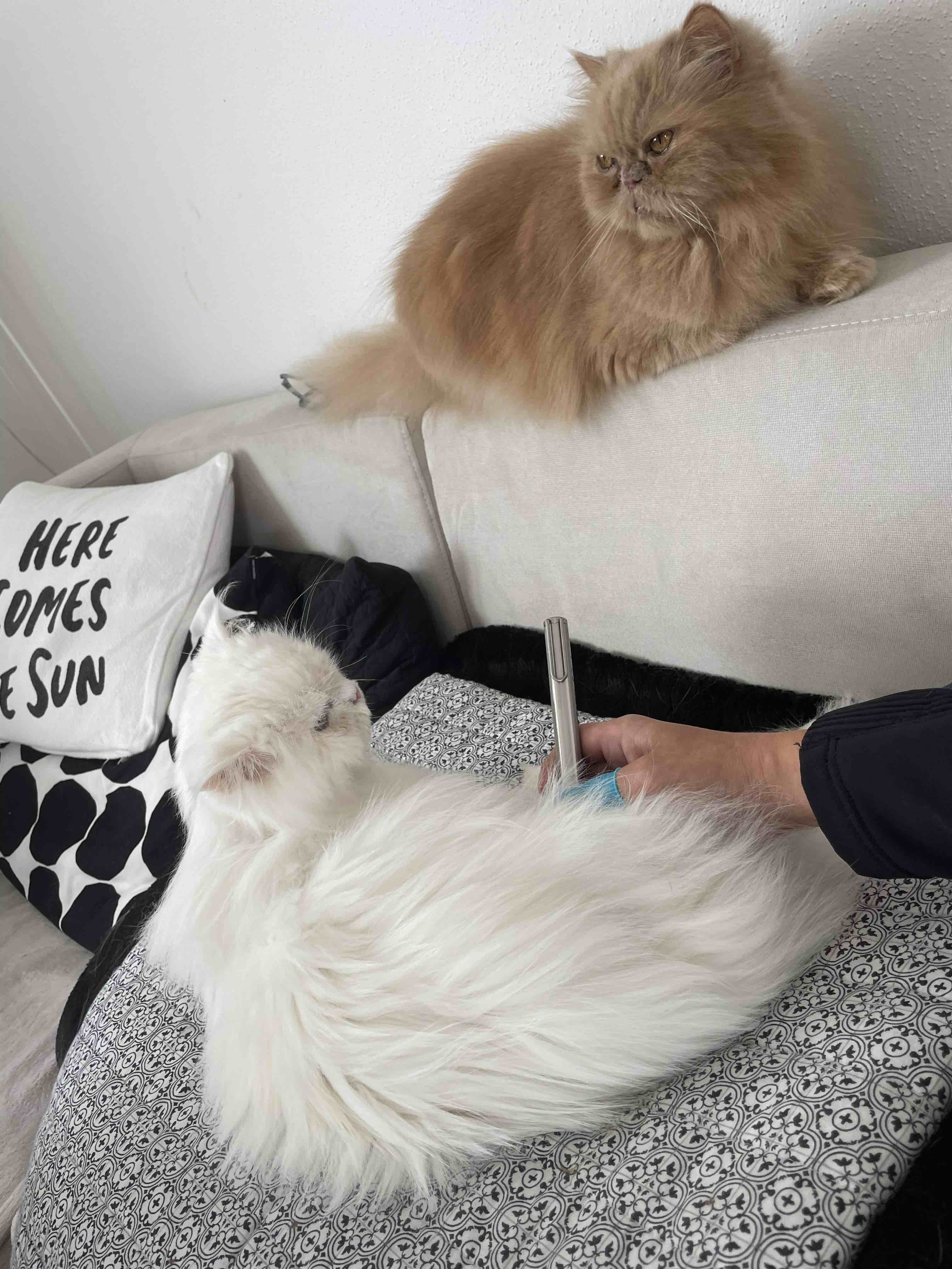 Lasertherapie, Laserakupunktur