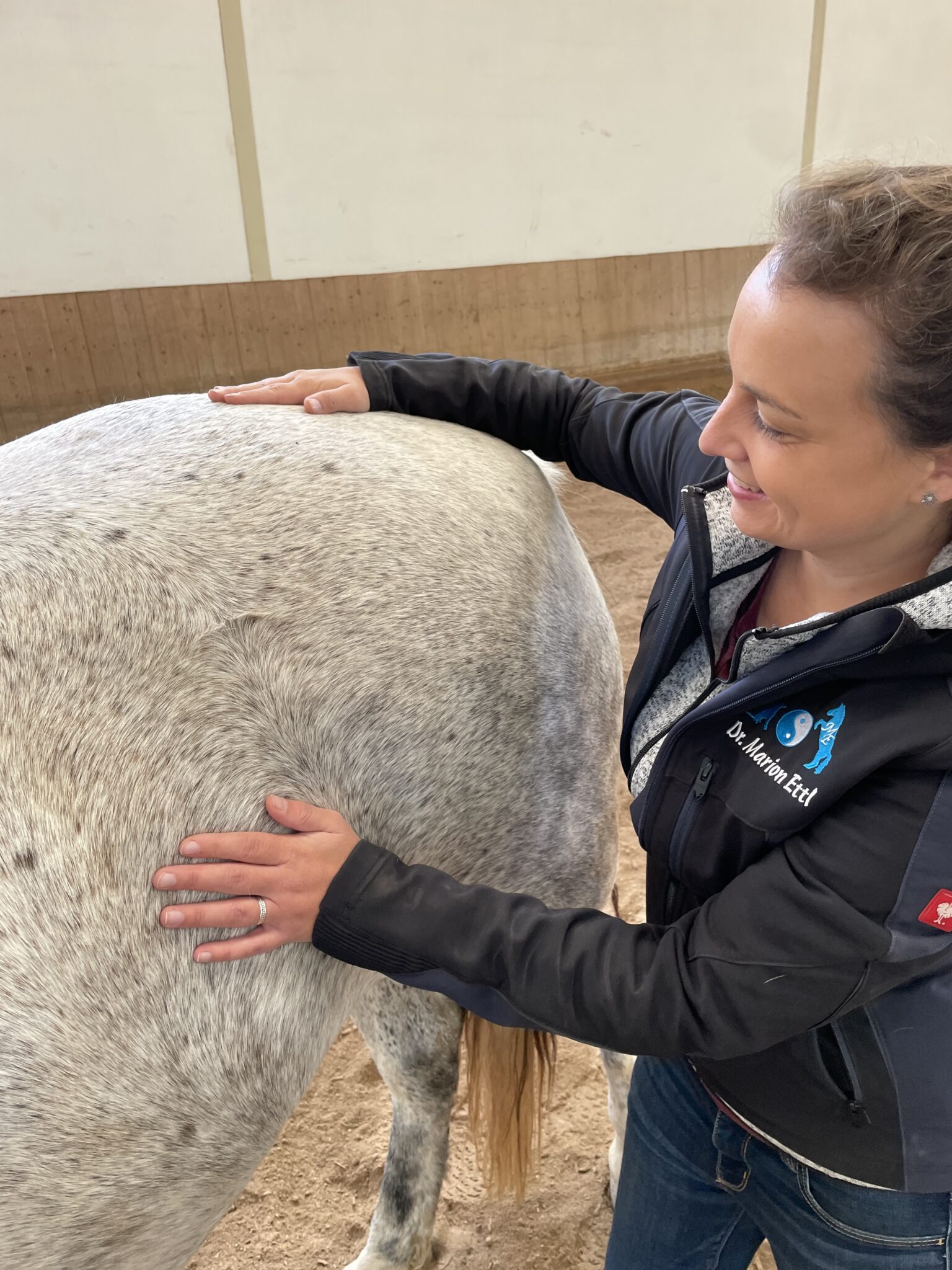 Tierosteopathie, Pferdeosteopathie, Osteopathie, Tiere, Vet, Tierarzt