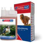 GladiatorPlus 5€ Gutscheincode XGP3599