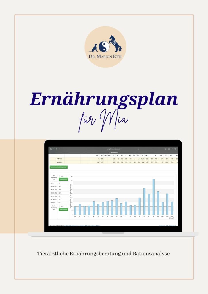 Tierärztliche Ernährungsberatung, Ernährungsplan, Futterplan