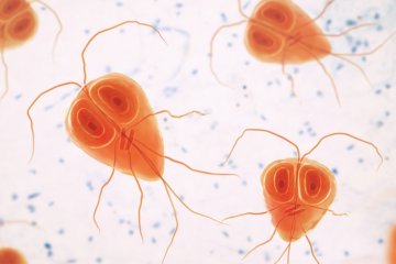 Giardien Hund Tierarzt Behandlung